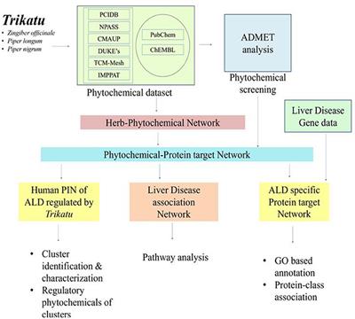 Deciphering the impact and mechanism of Trikatu, a spices-based formulation on alcoholic liver disease employing network pharmacology analysis and in vivo validation